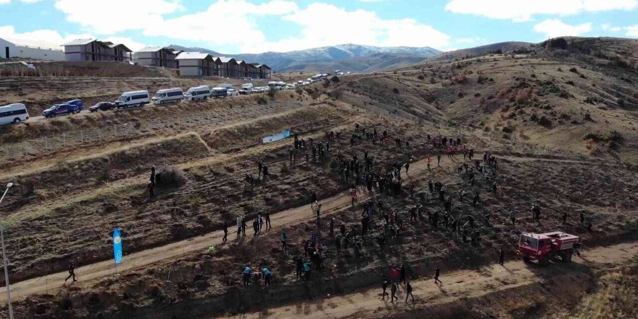 1744 rakımlı Dinek dağında fidanlar toprakla buluşturuldu