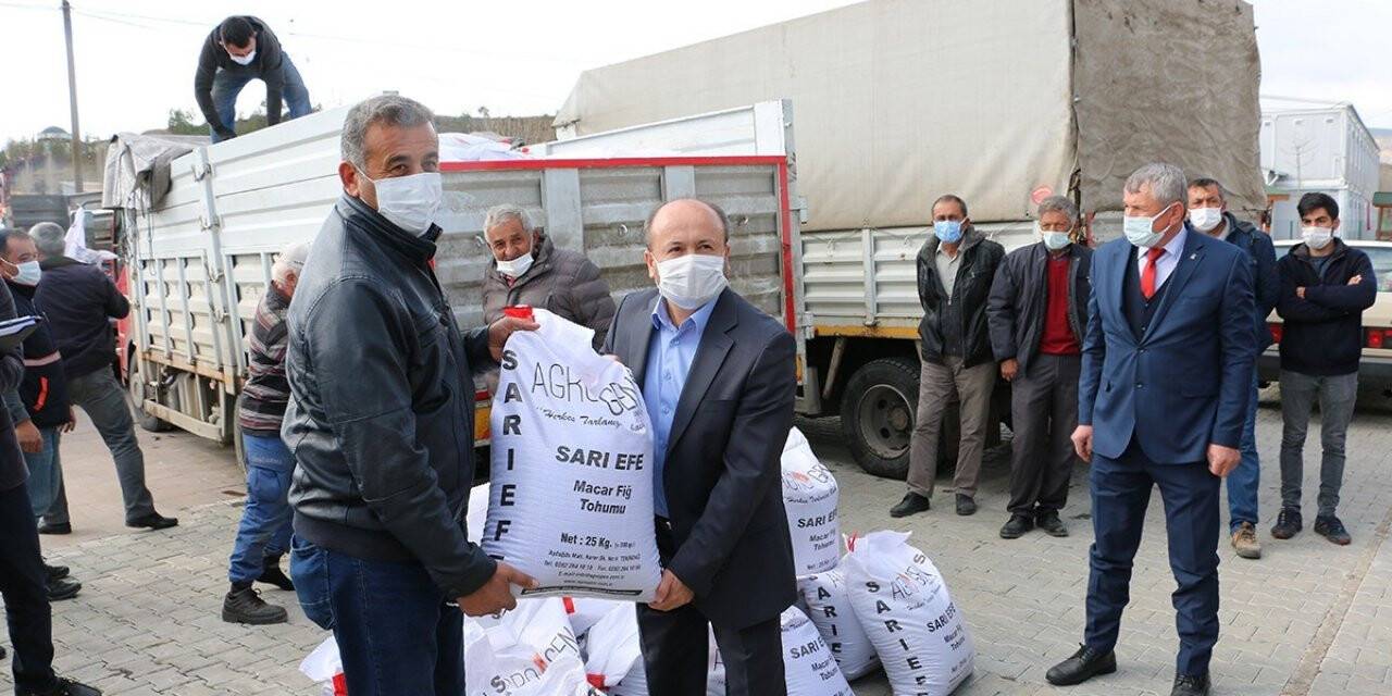 Atıl araziler fiğle yeşeriyor
