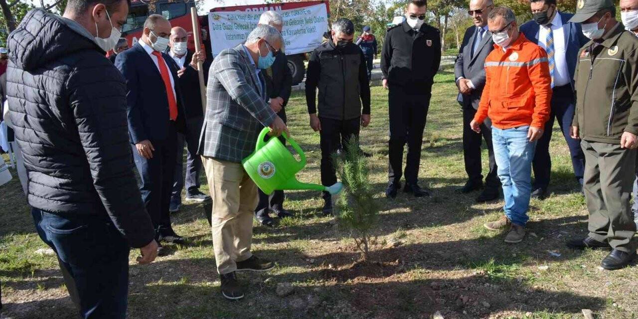 Milli ağaçlandırma gününde Didim’de fidan dikimi yapıldı