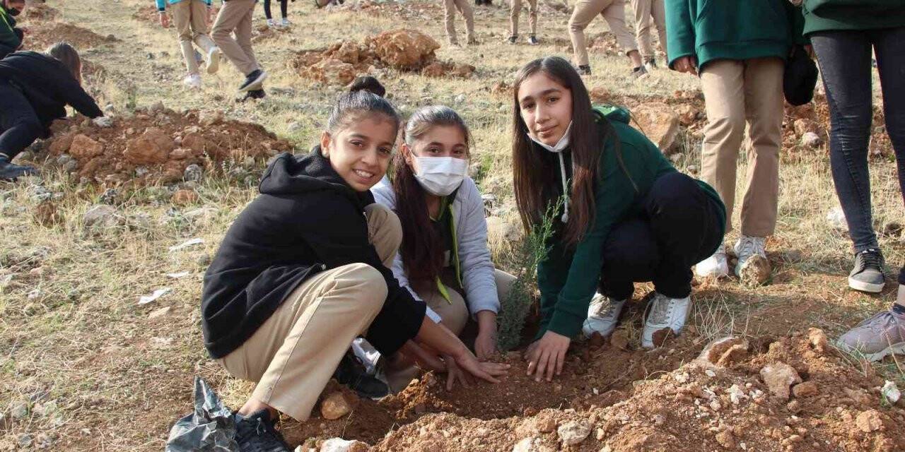 Siirt’te 231 bin fidan toprakla buluştu