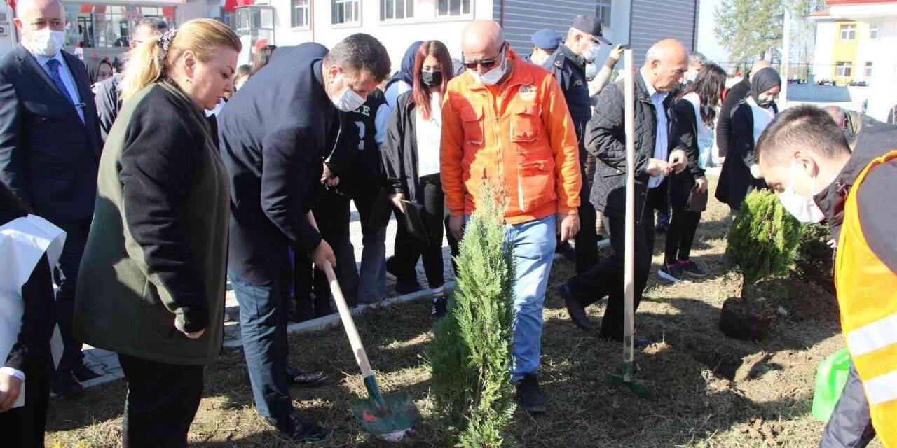 Akyazı’da geleceğe nefes olacak yeni fidanlar toprakla buluştu