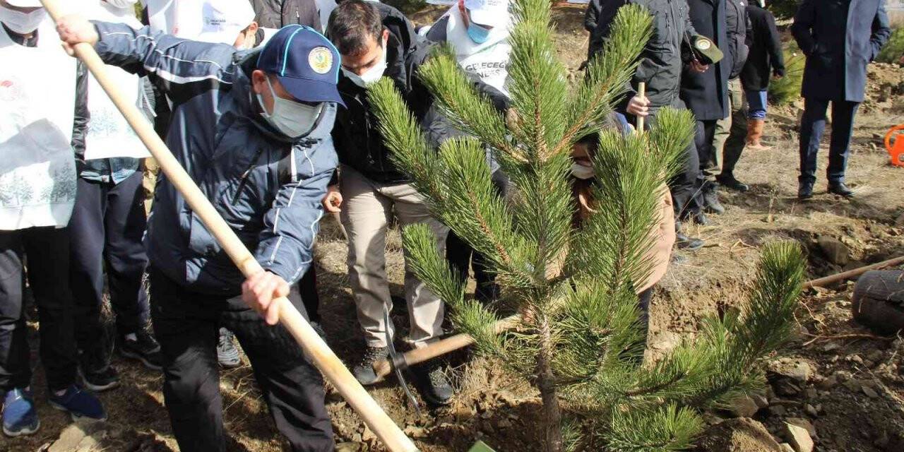 Yozgat’ta fidan dikimi gerçekleştirildi