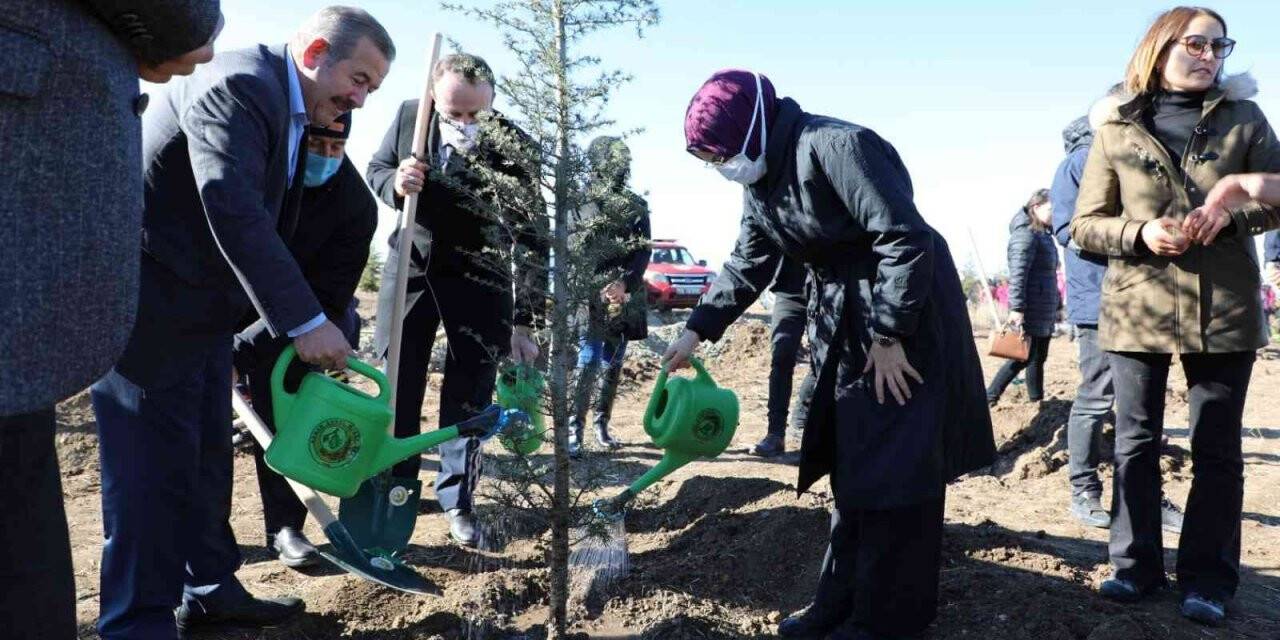 Akyurt’ta Milli Ağaçlandırma Günü’nde 5 bin fidan toprakla buluştu