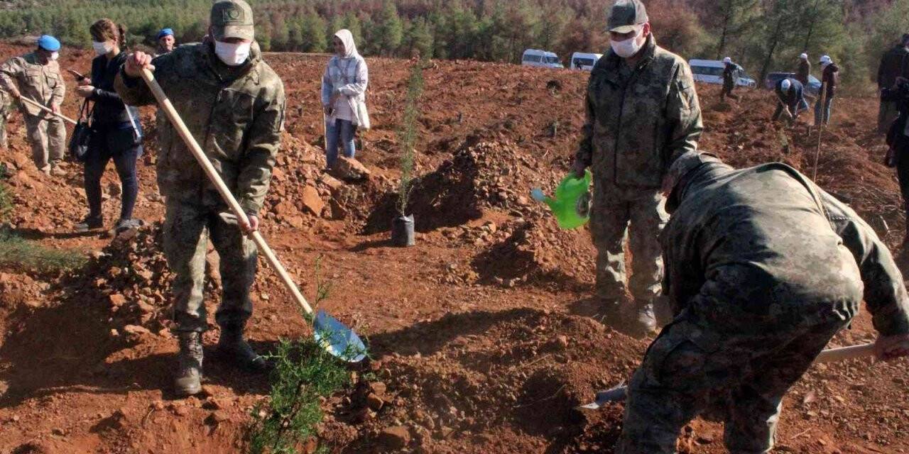 Yanan Demirciler orman alanında fidanlar toprakla buluştu