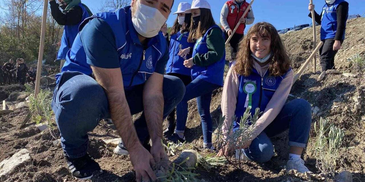 Bartın’da 39 bin 500 fidan toprakla buluşturuldu