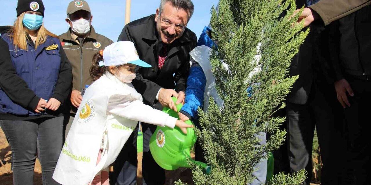 Aydın’da 8 milyon fidan toprakla buluştu