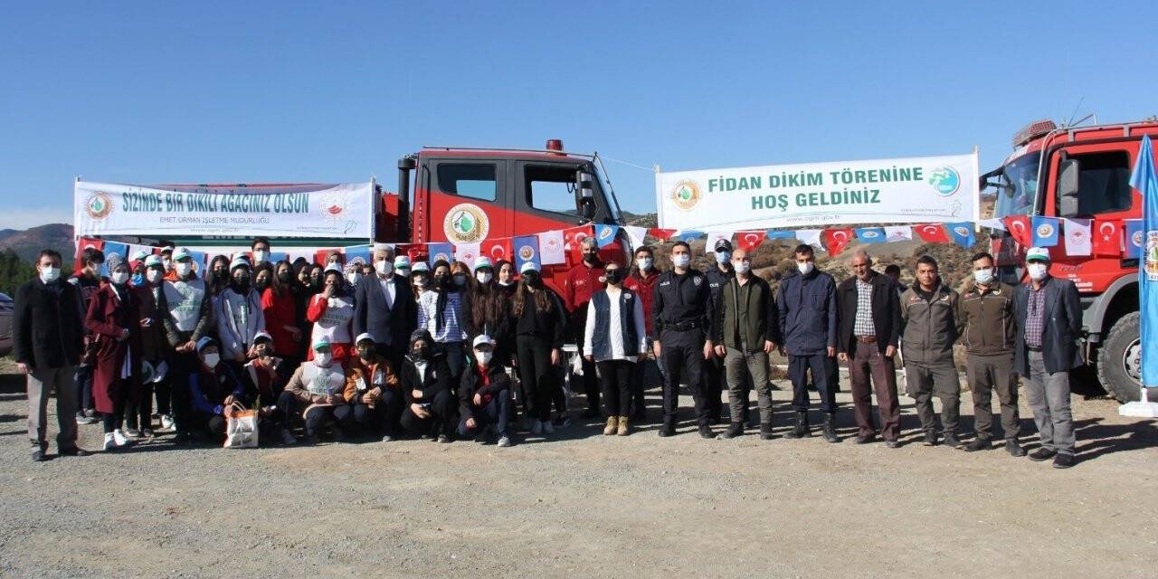 Hisarcık’ta 300 fidan toprakla buluştu