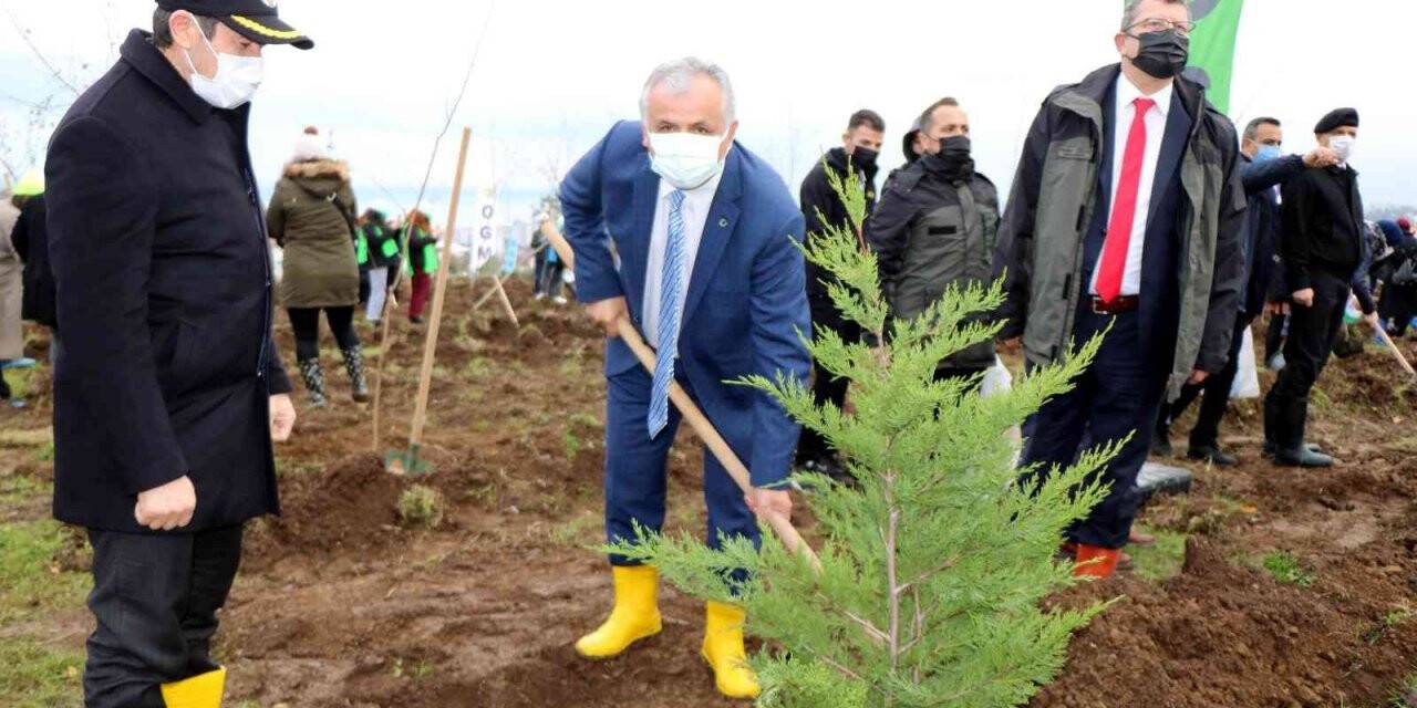 Samsun’da fidanlar toprakla buluştu: Hedef 771 bin fidan