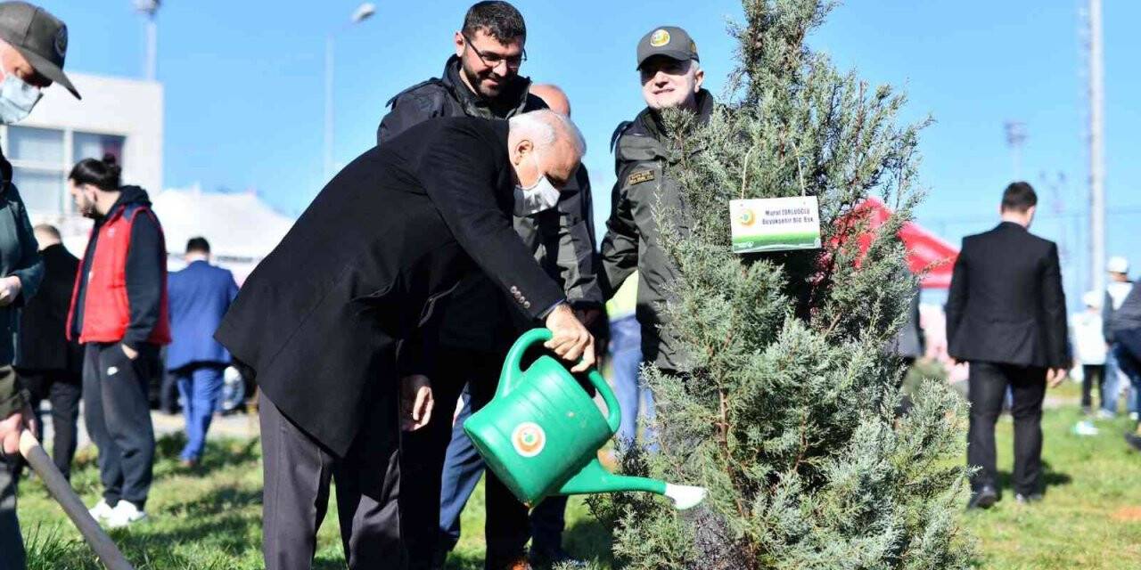 Trabzon’da fidanlar toprakla buluştu