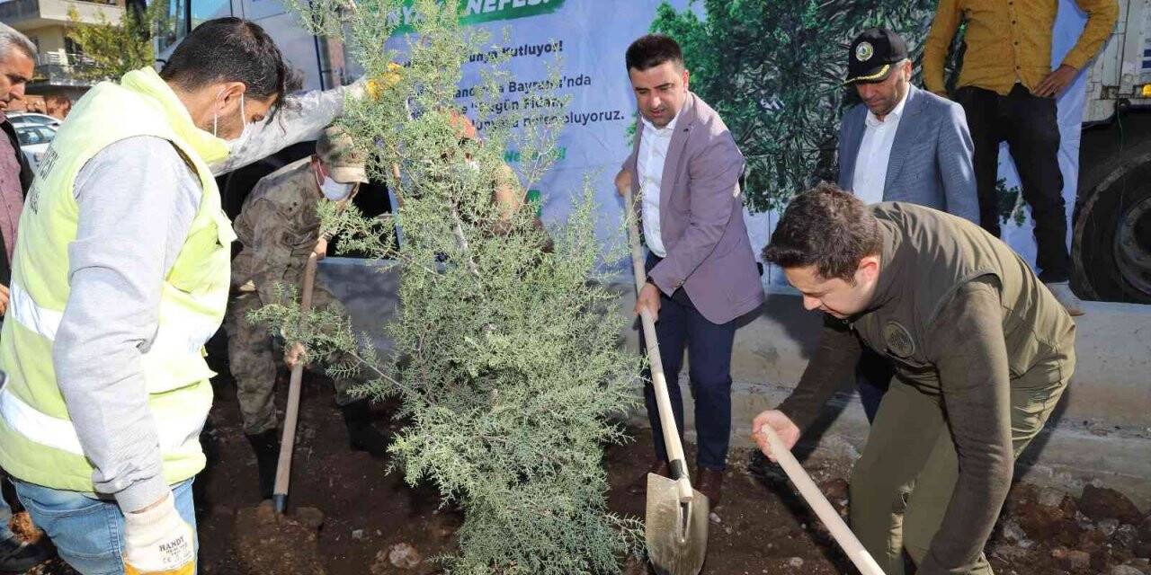 Kahta’da 2 bin 23 fidan dikildi
