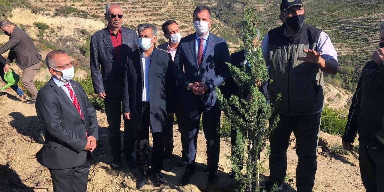 Yanan orman alanları fidanla buluştu