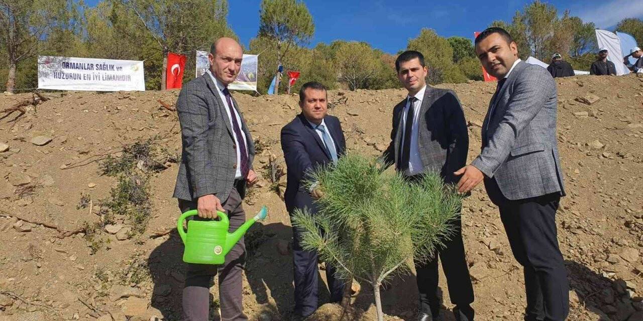 Nazilli’de Milli Ağaçlandırma Günü Etkinliği gerçekleştirildi