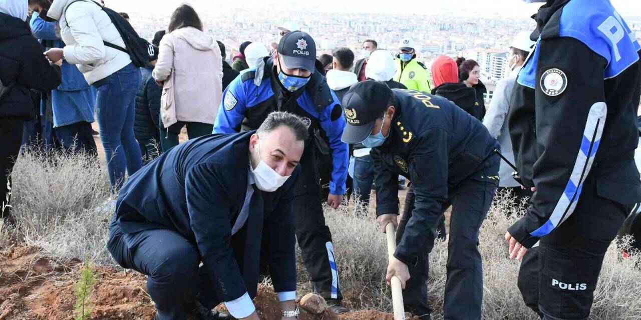 Aksaray’da 826 bin fidan topraklı buluşturuldu
