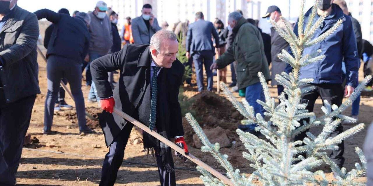 Ardahan’da binlerce fidan toprakla buluştu