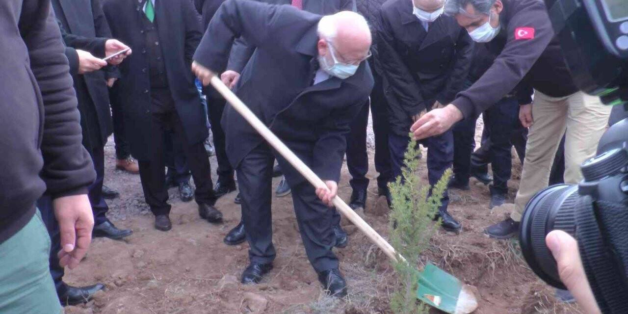 Nevşehir’de 5 Bin fidan toprakla buluşturuldu