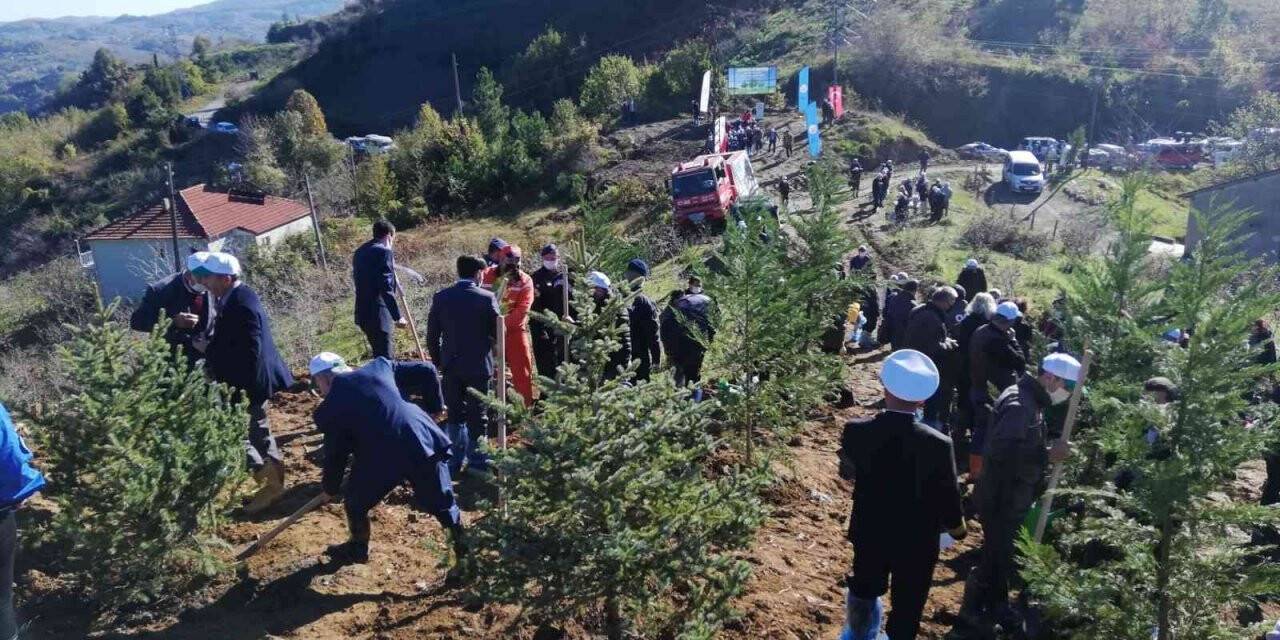 Kdz. Ereğli’de fidanlar toprakla buluştu