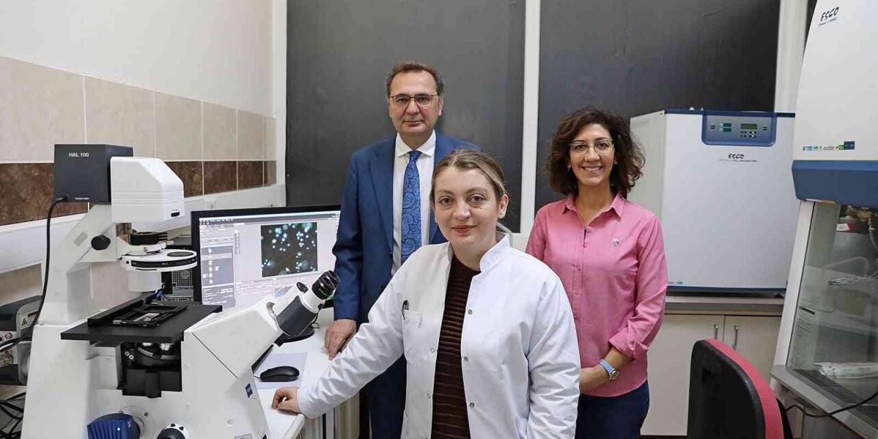 Doktor Saygılı ABD’de araştırma yapacak