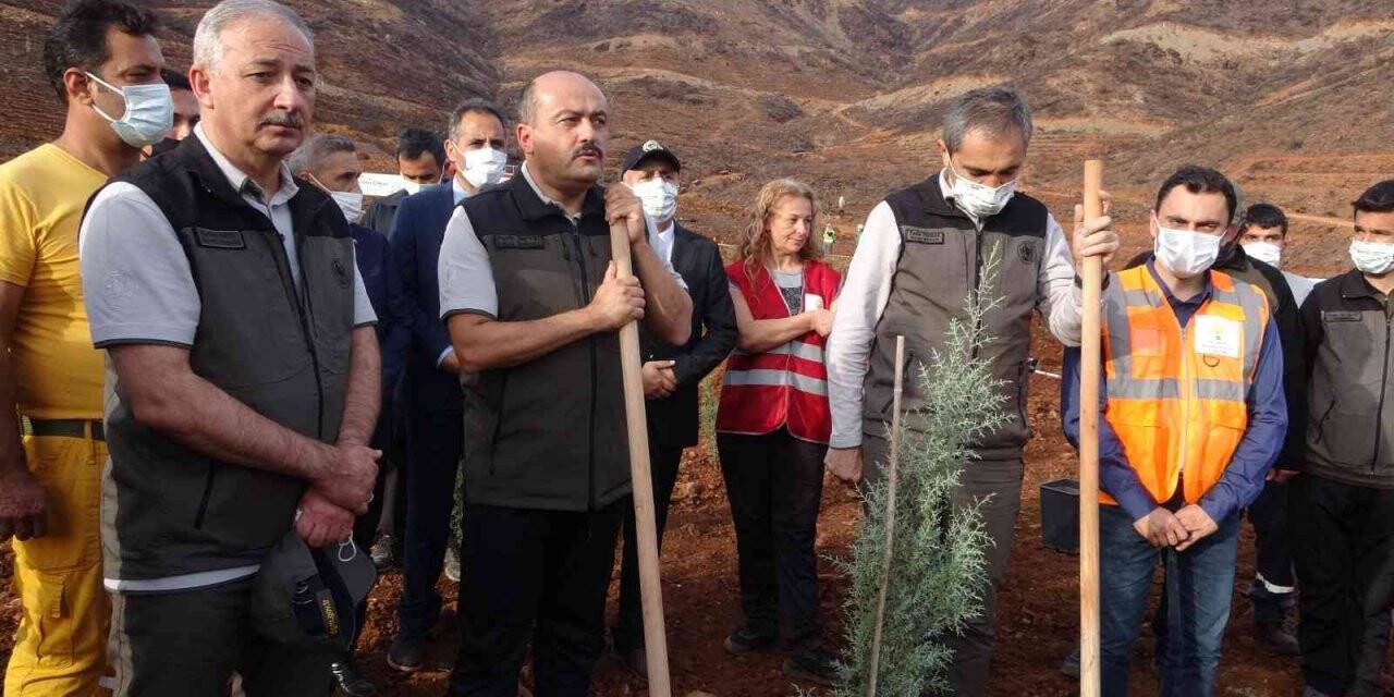Bakan Yardımcısı Metin, Marmaris’teki fidan dikme törenine katıldı