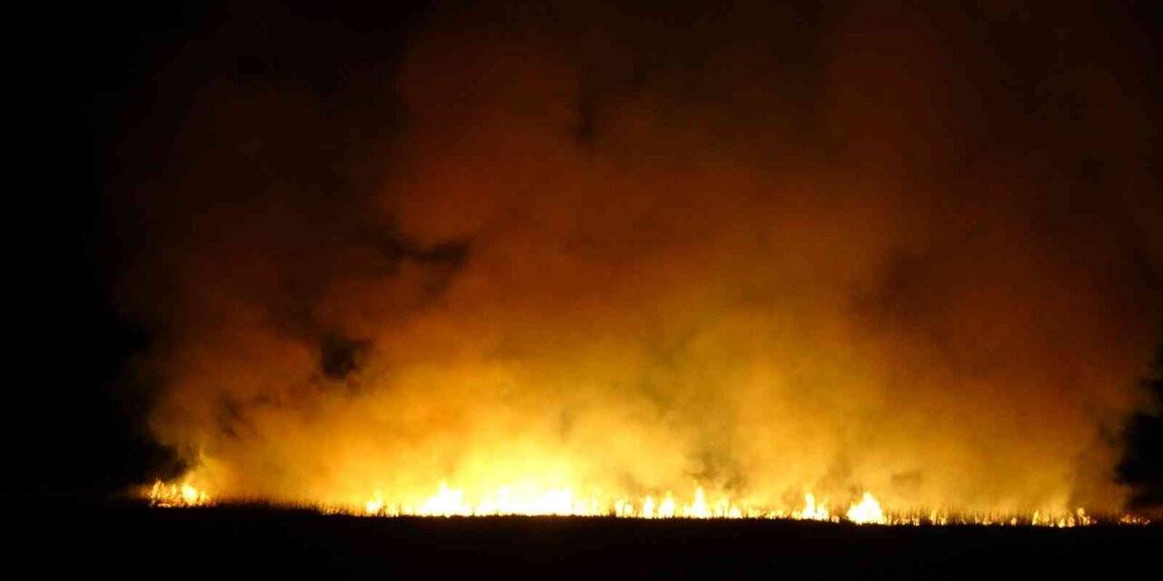 Yüksekova’daki sazlık yangını devam ediyor