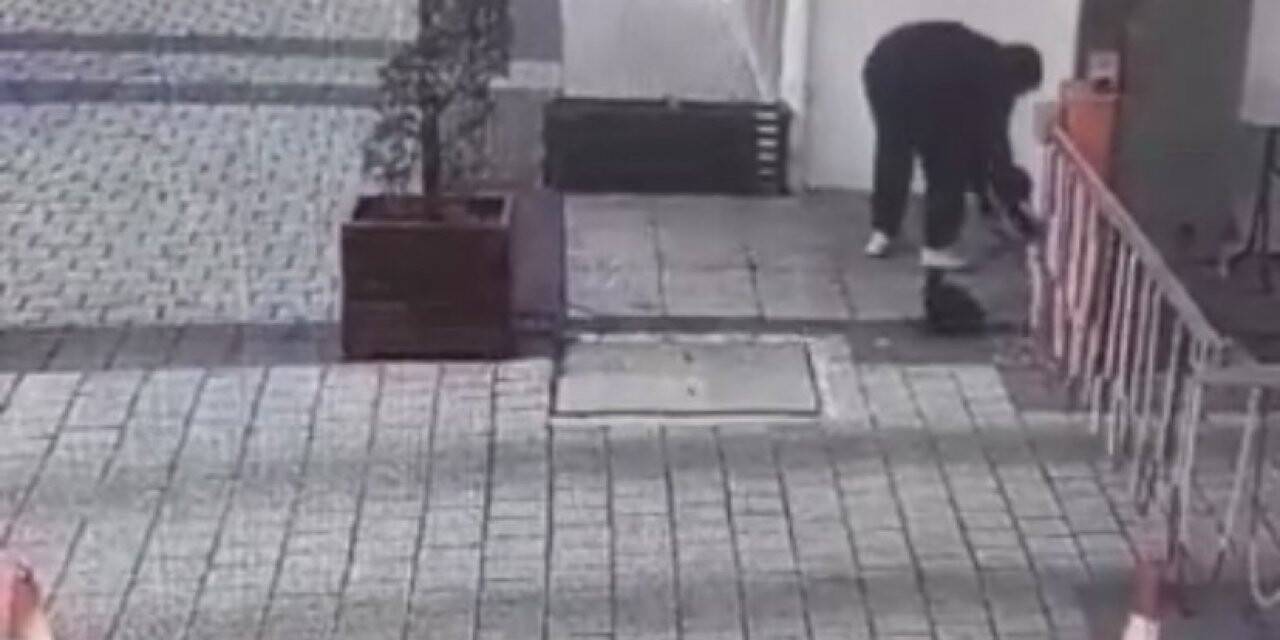 Bursa’da insanlık ölmüş dedirten görüntü: Kedi mamasının kutusunu çaldı