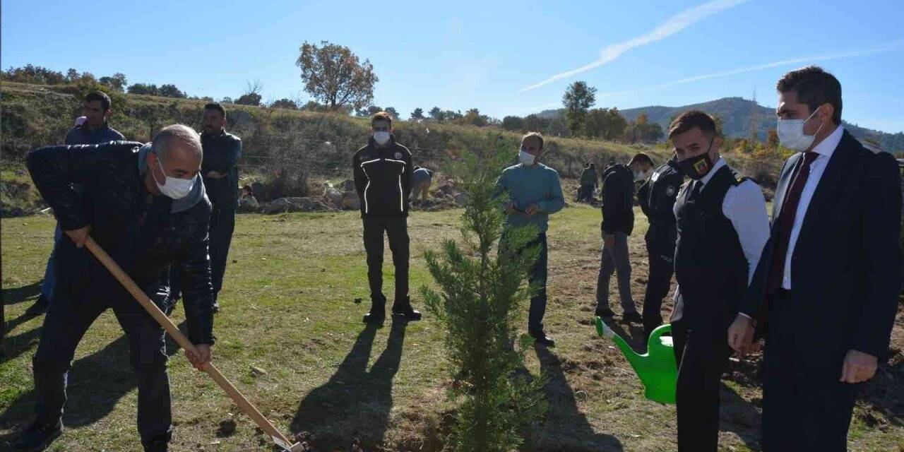 Selendi’de 300 adet fidan toprakla buluştu