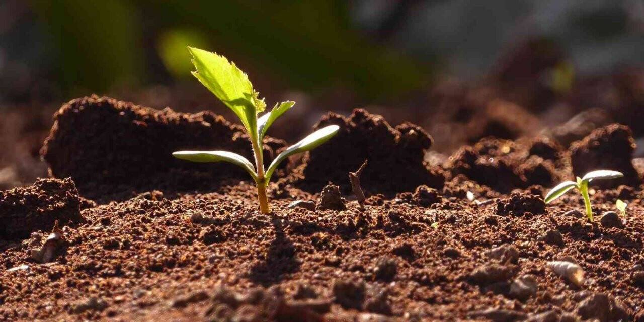Toprak bozulumuna yol açan erozyona dikkat çekilecek