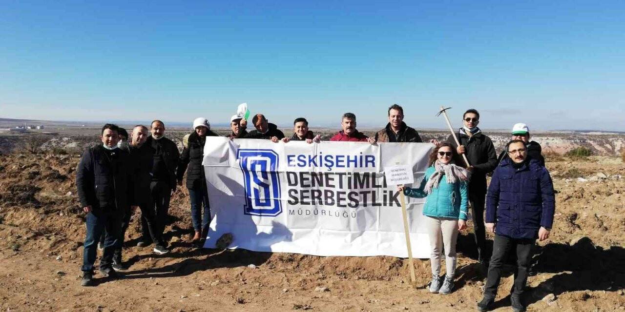 Denetimli Serbestlik personelleri bin tane fidan dikti