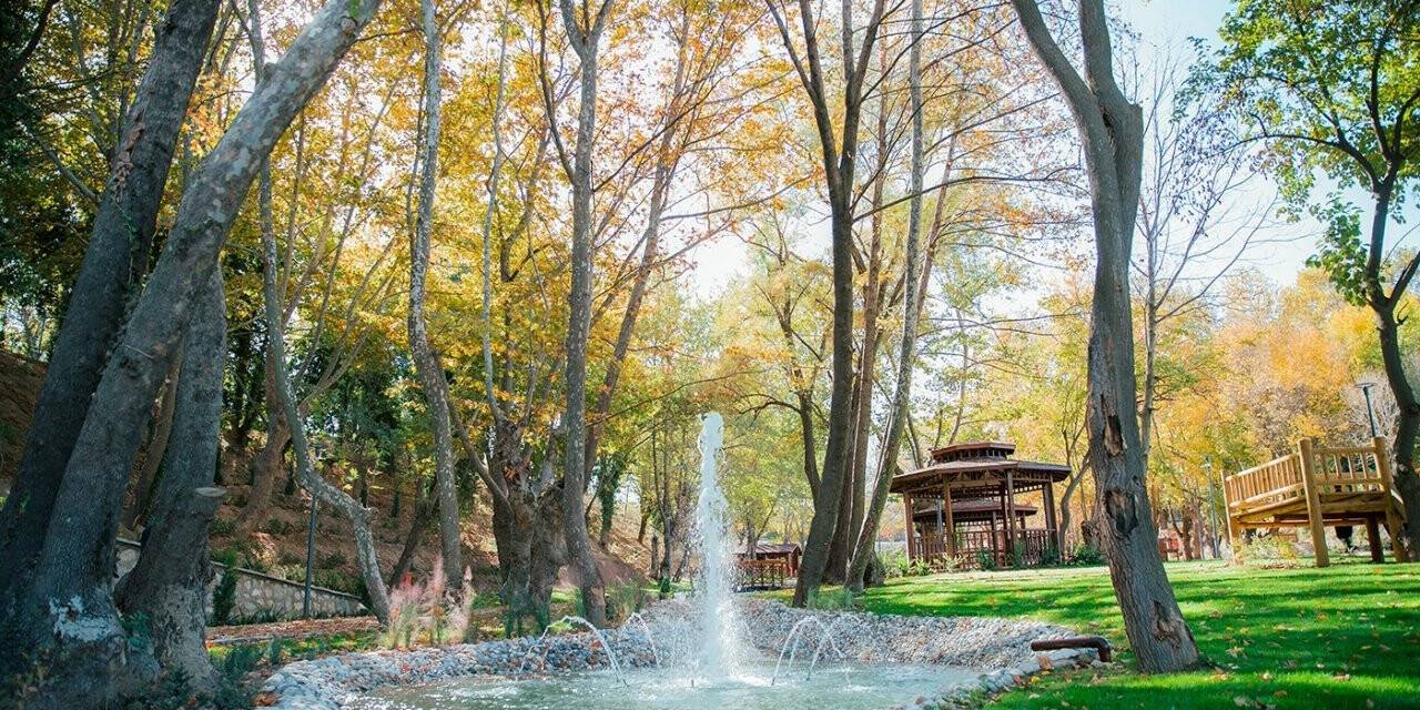 Bakımsız vadi doğal yaşam parkına dönüştürüldü