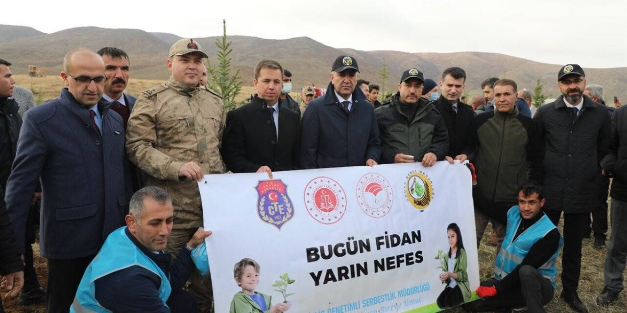Bitlis’te fidan dikme seferberliği