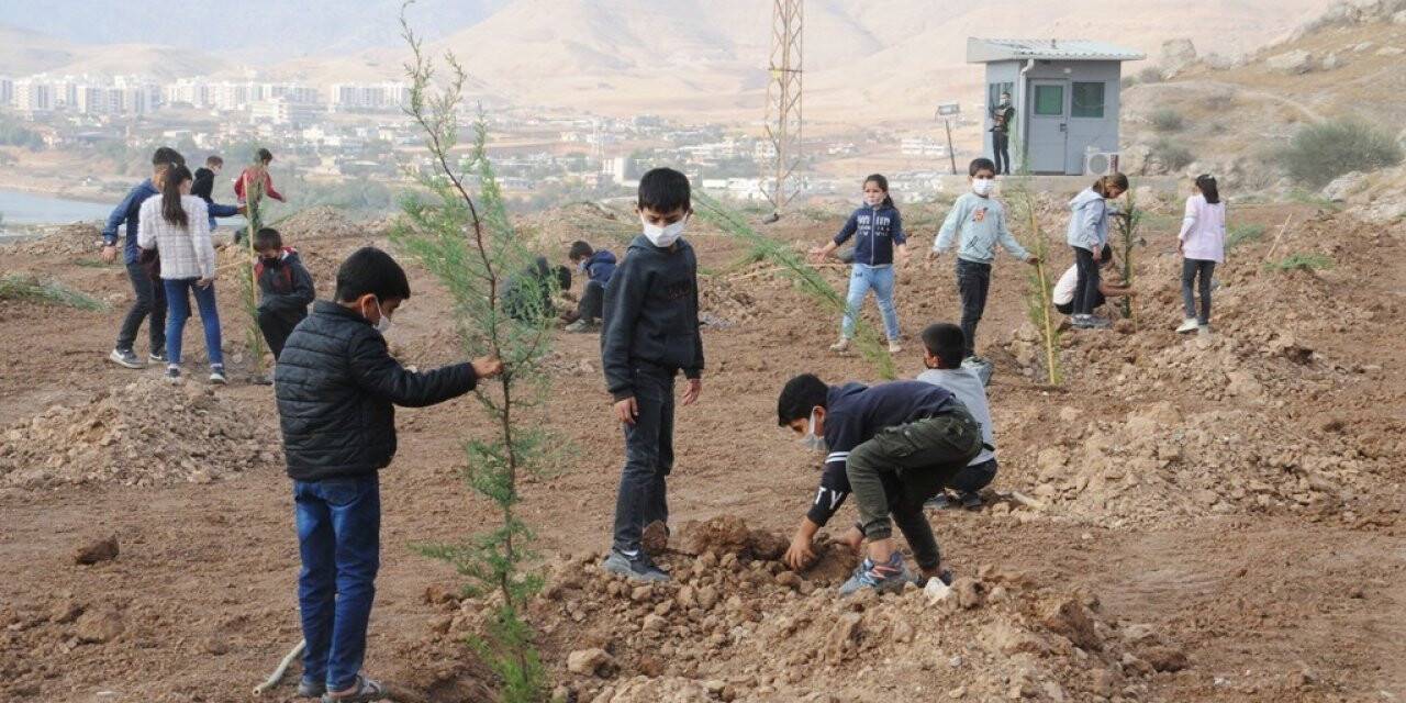 Cizre’de öğrenciler emniyet bahçesine fidan dikti