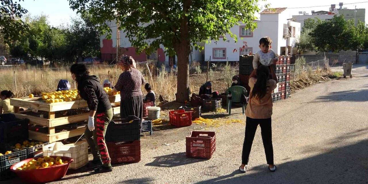 Şiddet haberlerinden etkilendi, kadınları üretime geçirdi