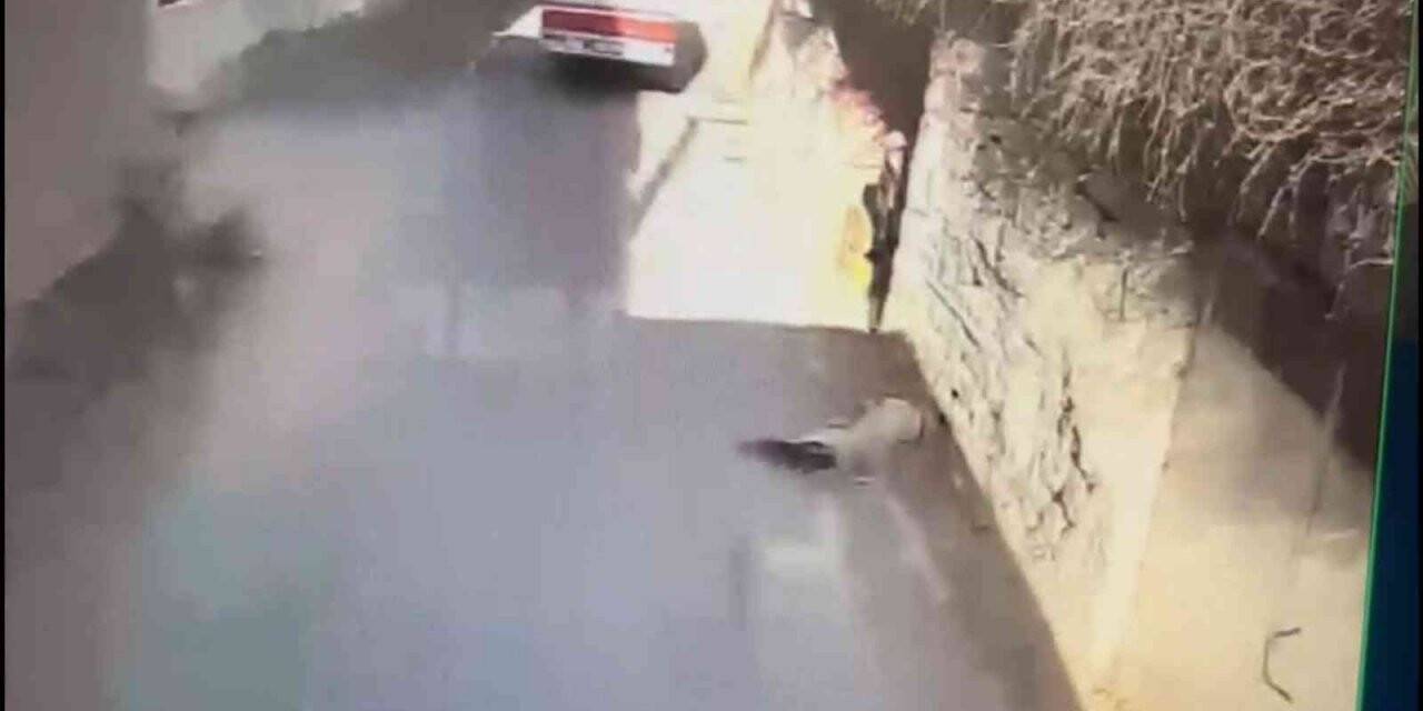 Köpeğe çarpıp ölüme terk ettiği anlar saniye saniye görüntülendi