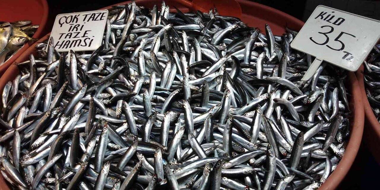 Balık fiyatları güzel havaya rağmen düşmüyor