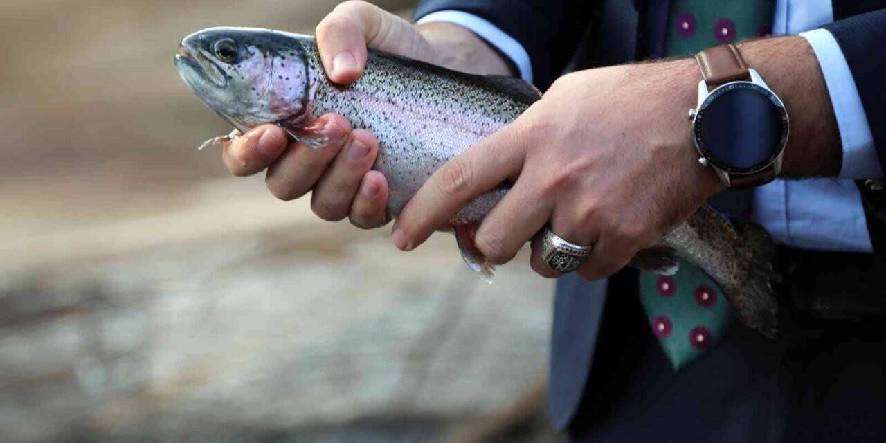 Bu barajda yılın 12 ayı balık üretilebiliyor