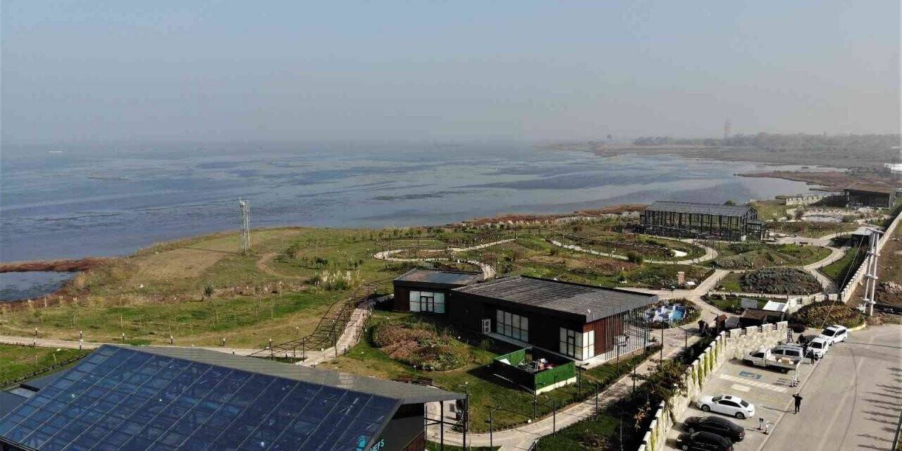 81 vilayette yetişen şifalı bitkileri tek bahçede yetiştirdiler