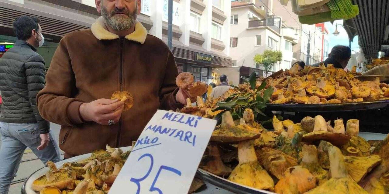 İnsanlar zehirli sanıp korkuyor, faydaları saymakla bitmiyor
