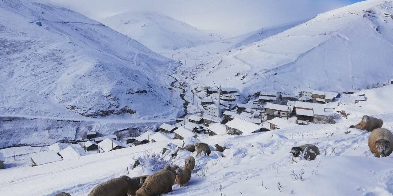 Bayburt - Trabzon sınırındaki köyler kar beyaz