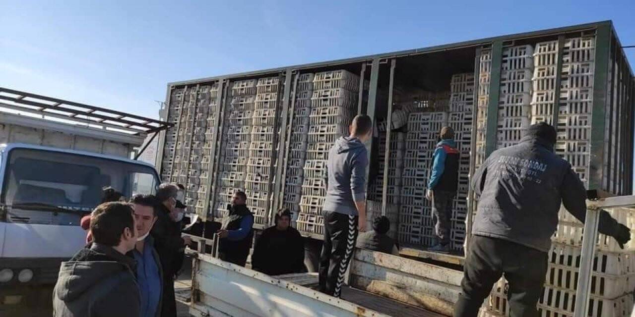 İpsala’da 43 kadın girişimciye 4 bin 515 tavuk verildi