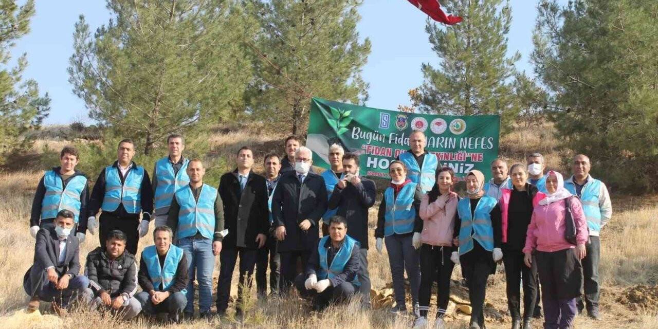 Mardin’de fidan dikme etkinliği
