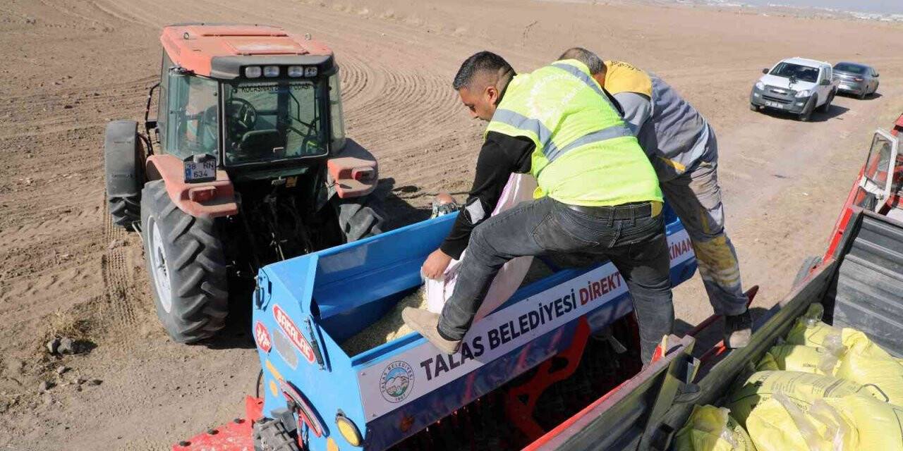 Talas’ta tarımsal faaliyetler hız kesmiyor