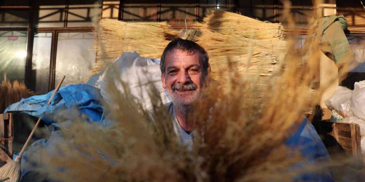 Çalı süpürgesi milyarlık süpürgelere direniyor