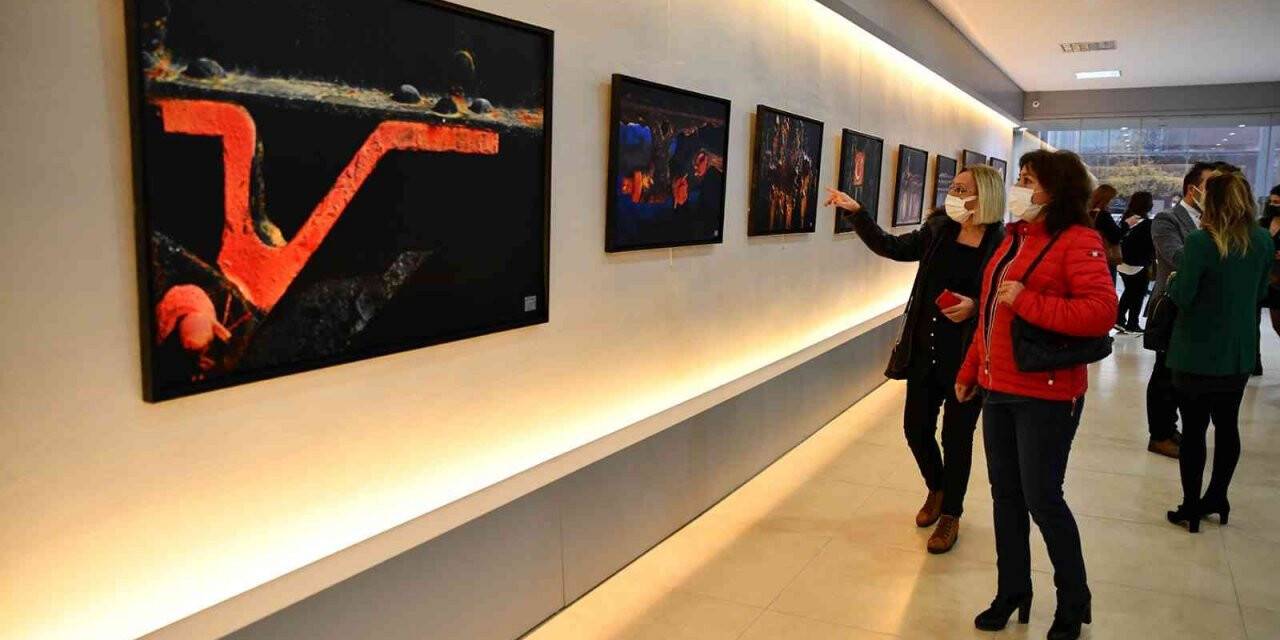 ’Atatürk’ten Sonra’ sergisi beğeni topluyor