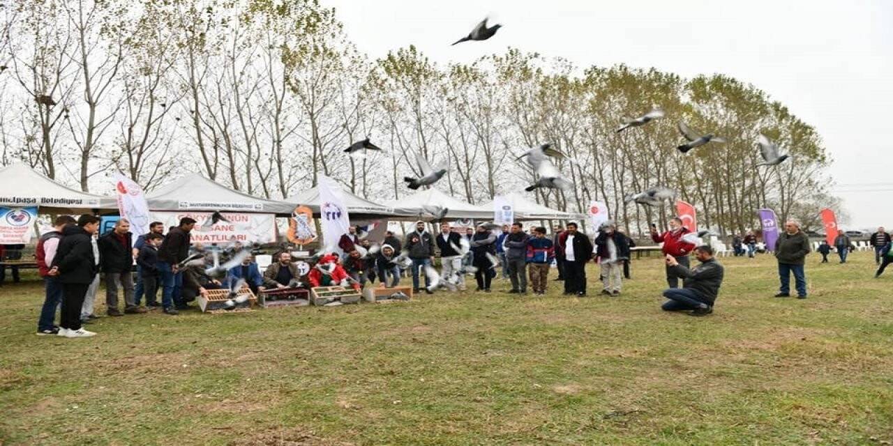 Mustafakemalpaşa’da Güvercin Uçuş Festivali