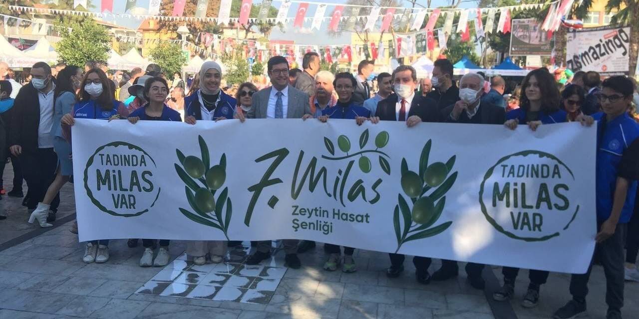 Milas Zeytin Hasat Şenliği başladı