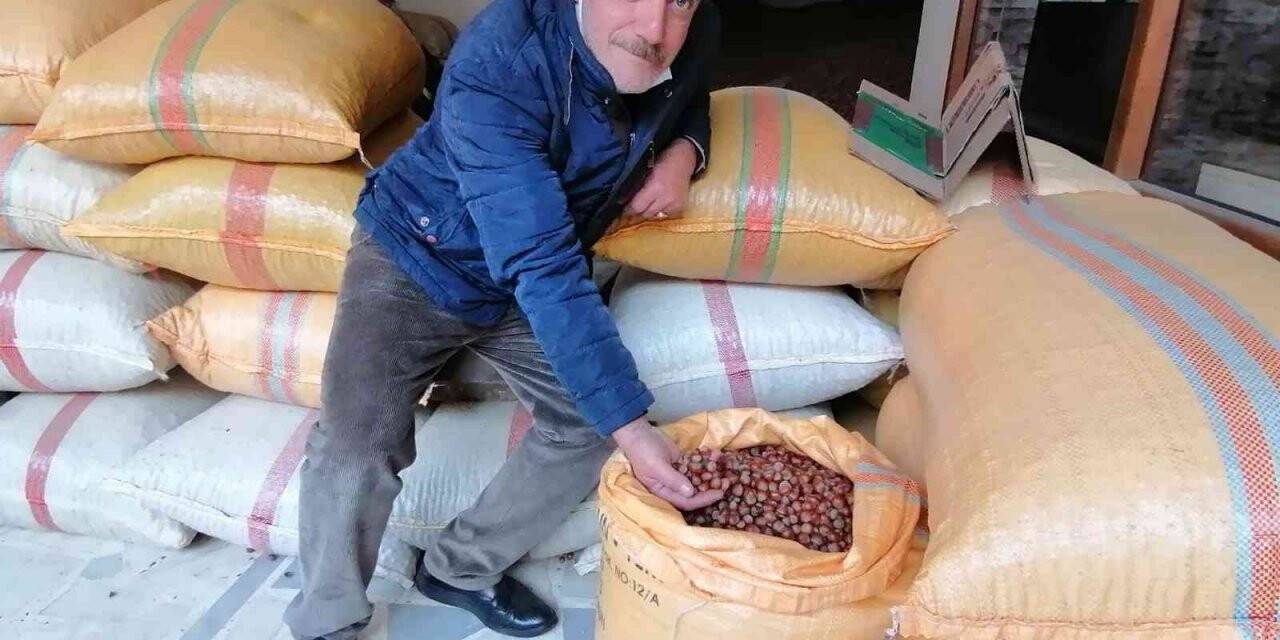 Serbest piyasada fındık fiyatı yükselişe geçti