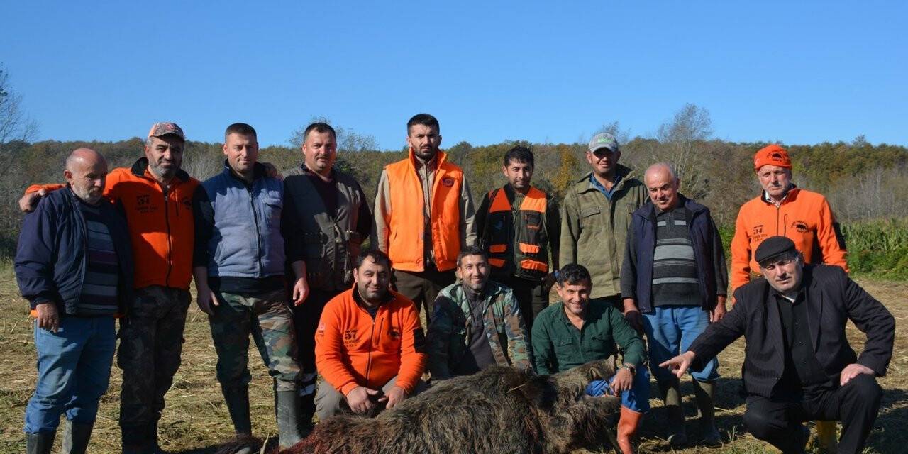 4 saatlik uğraş sonucu 200 kiloluk domuzu avladılar