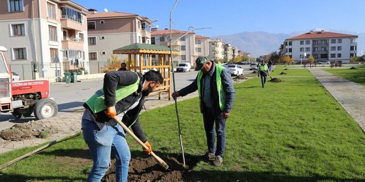 Park ve yeşil alanlar yenileniyor