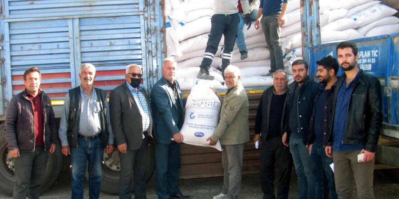 Gaziantep Büyükşehir’den çiftçiye buğday tohumu