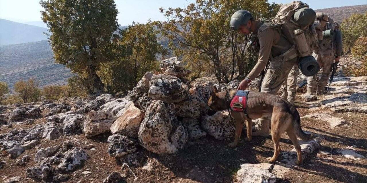 Siirt'te 'Eren Kış-5 Operasyonu' başladı