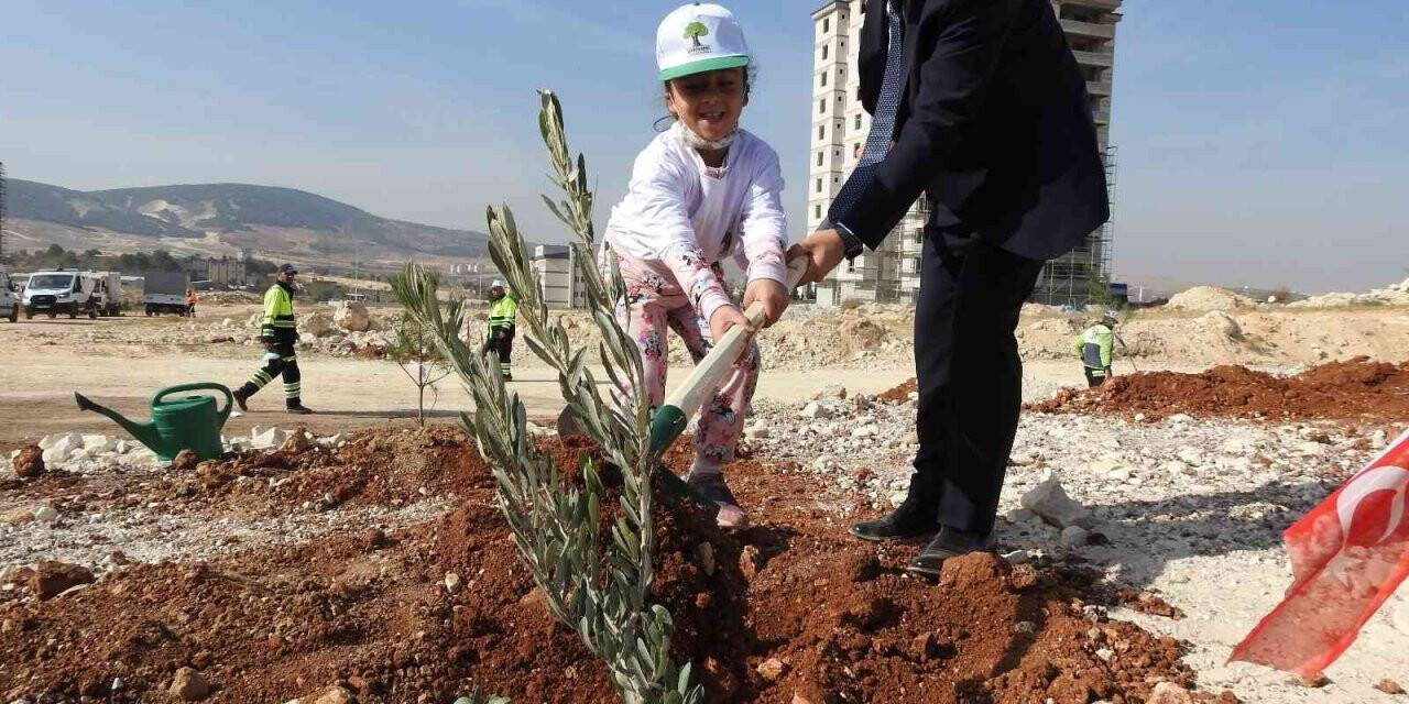Şehitkamil’de binlerce fidan toprakla buluştu